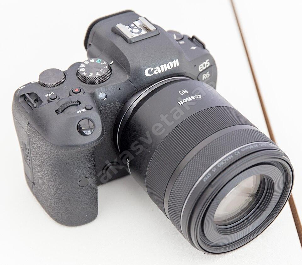 Canon EOS R6 + RF 85 mm f/2 Macro IS STM — 41.000 Deklanşör
