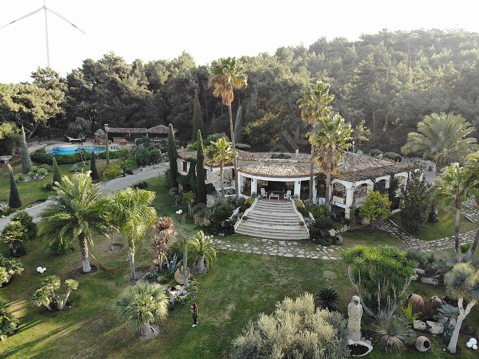 Urla'da Çam Ormanı İçinde Havuzlu, Palmiye Bahçeli Müstakil Villa
