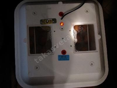 Küçük boy tavuk yumurtası kuluçka makinesi, termostatlı